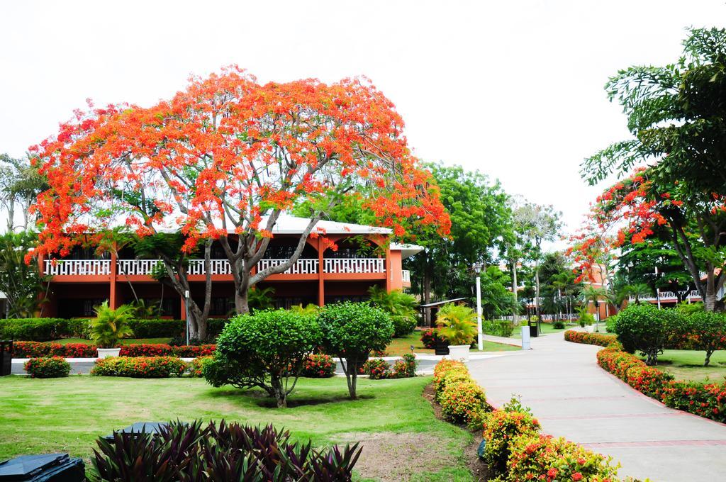 Hotel Garden โบกา ชิกา ห้อง รูปภาพ