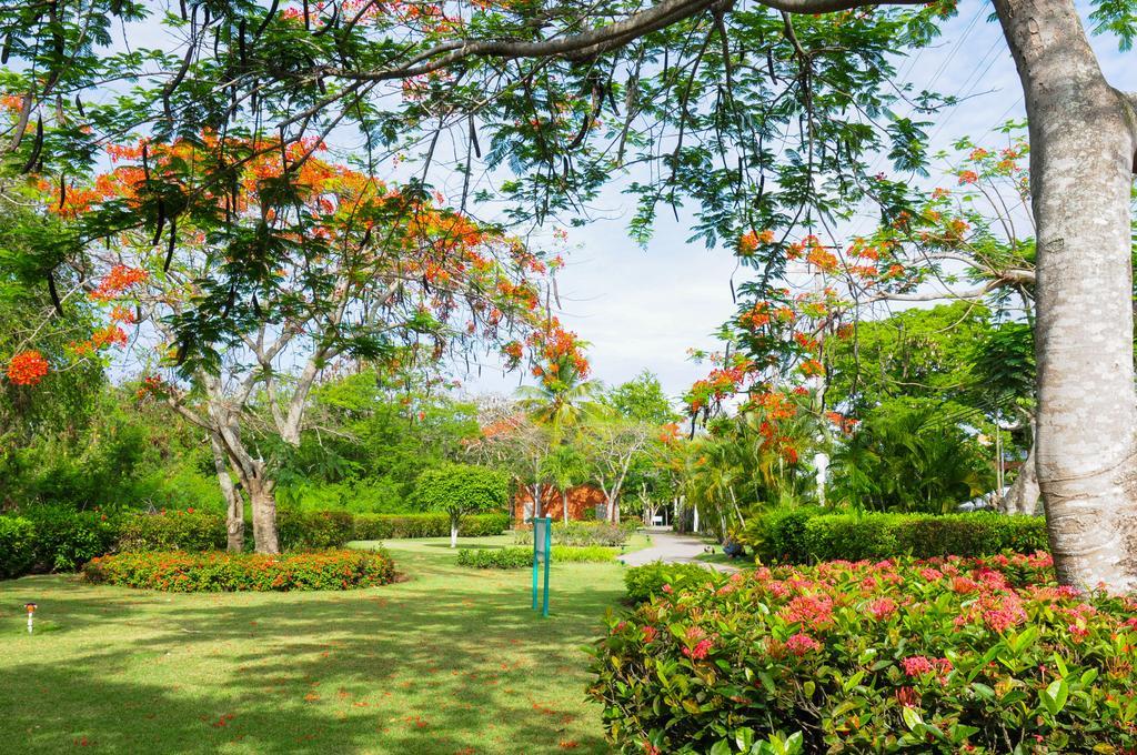 Hotel Garden โบกา ชิกา ห้อง รูปภาพ